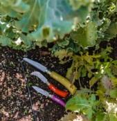 Coffret Opinel 3 outils du jardinier