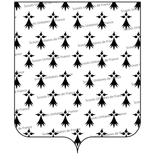 Écusson région Bretagne New