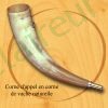 Corne d'appel